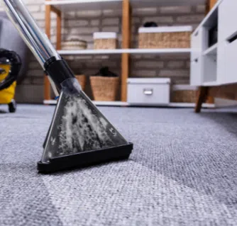 Commercial Floor Steam Cleaner