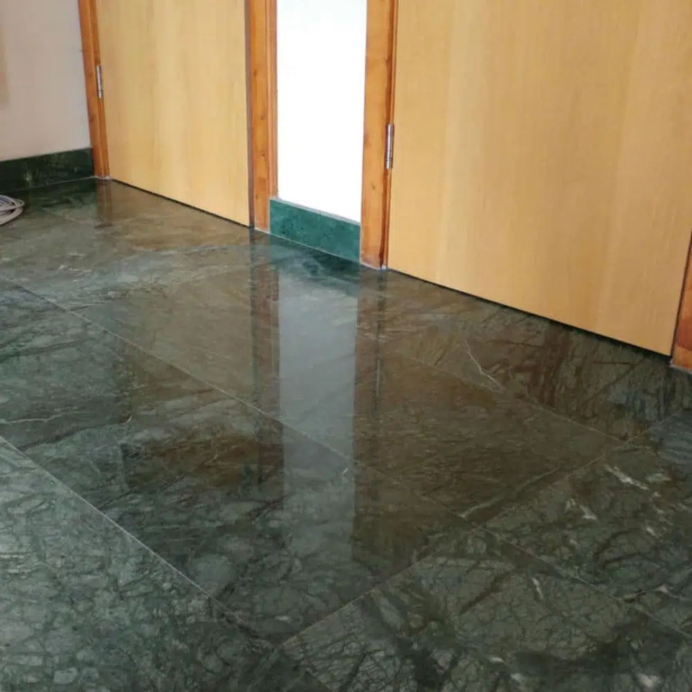 Rotary Floor Cleaner