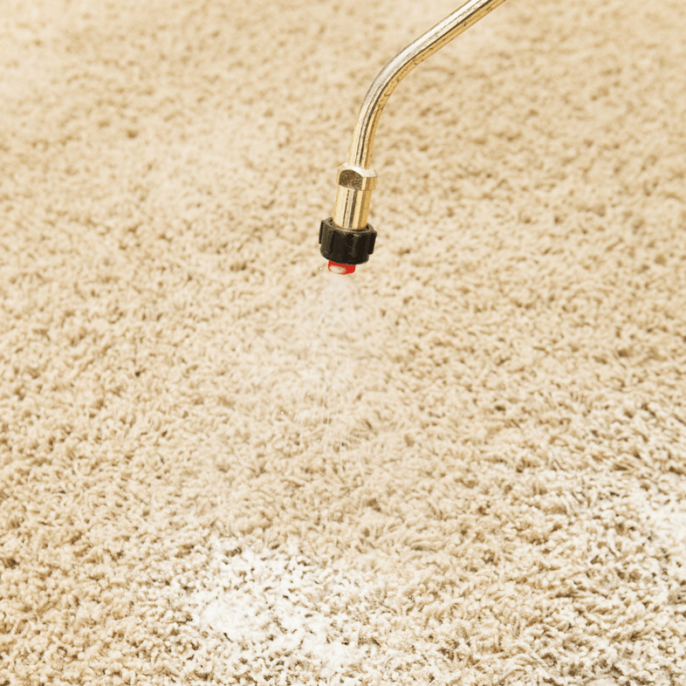 Carpet Cleaning Sprayer