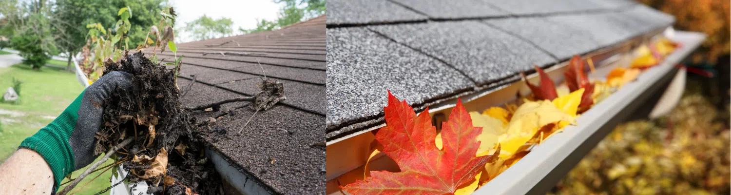 Gutter Hoover