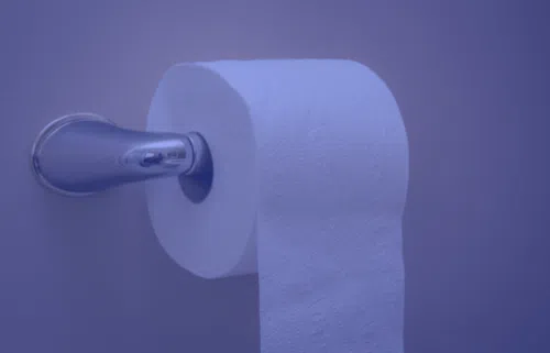 Toilet Tissue