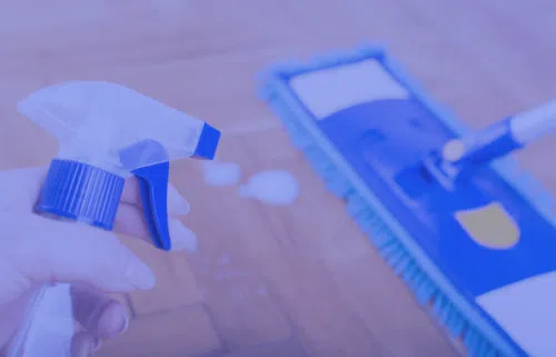 Cleaning Sprayers