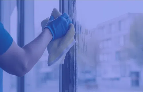 Window Cleaning Accessories