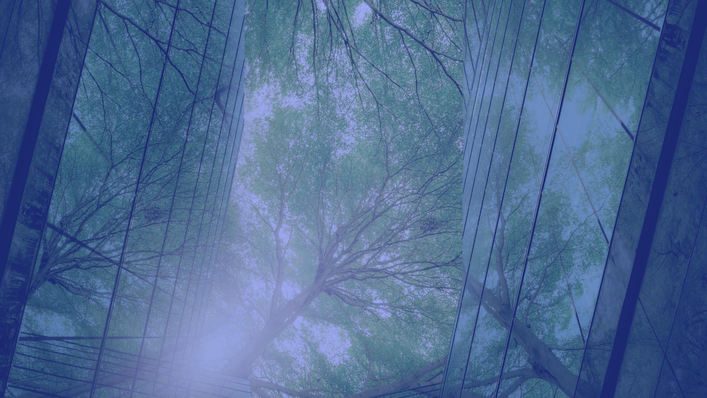 Eco Friendly Cleaning Products