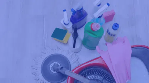 Bulk Discounts on Cleaning Products